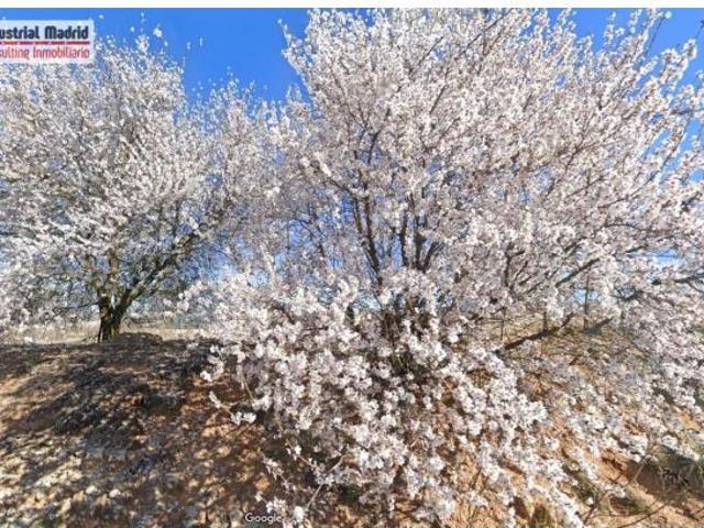 Local Comercial en alquiler en Campo Real Local Comercial en alquiler en Campo Real