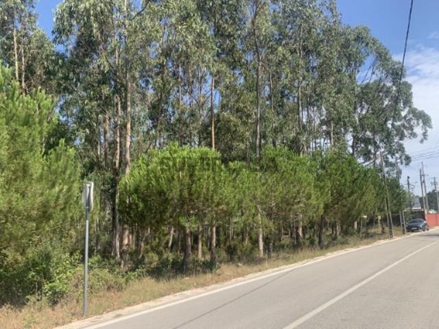 Terreno venda em Vale da Arieira, Leiria