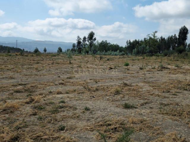 Terreno venda em São Lourenço do Douro, Porto