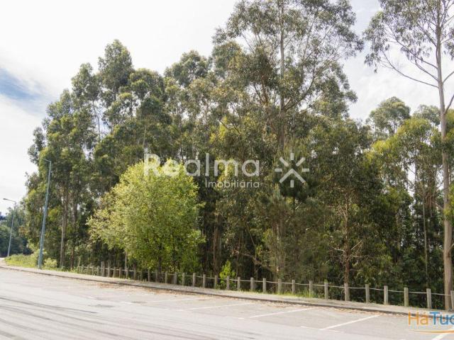 Terreno venda em Braga