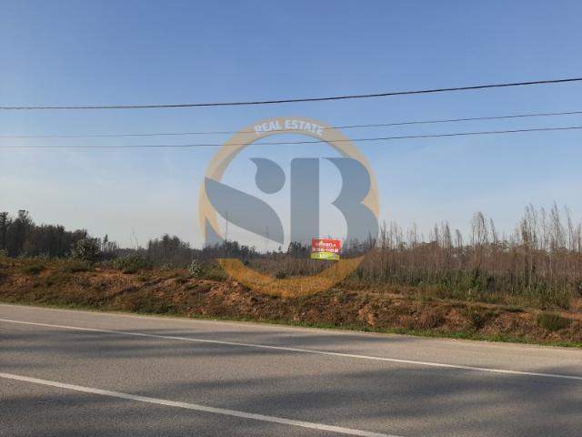 Terreno venda em Roçadas de Espinhos, Ovar