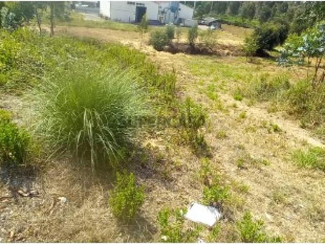 Terreno venda em Oliveira Do Bairro, Aveiro