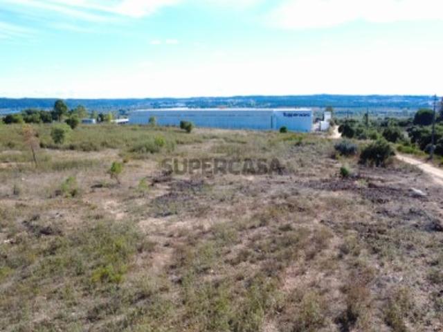 Terreno venda em Constância, Santarém