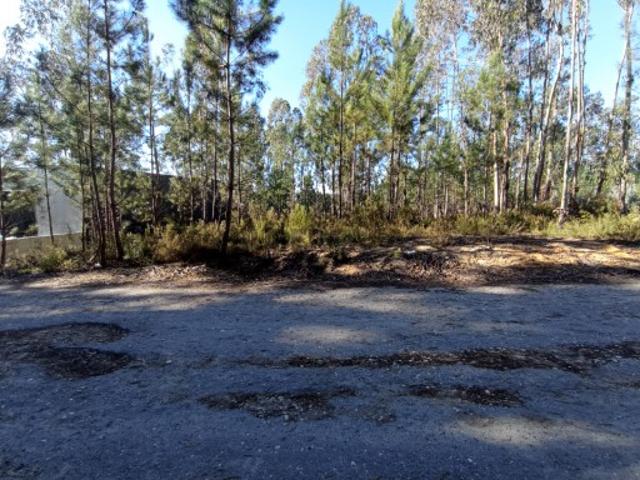 Terreno venda em Leiria