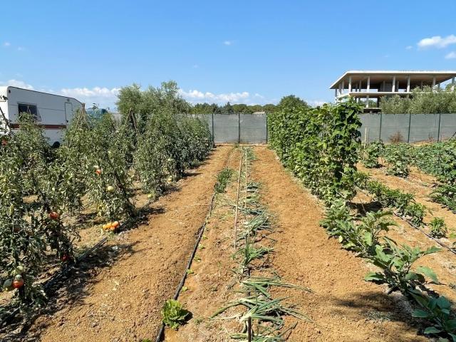 Terreno in vendita a Città Sant'angelo, Abruzzo