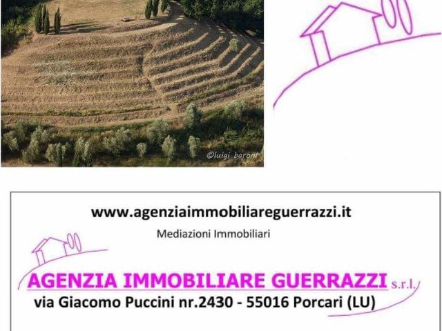 Terreno in vendita a Porcari, Toscana