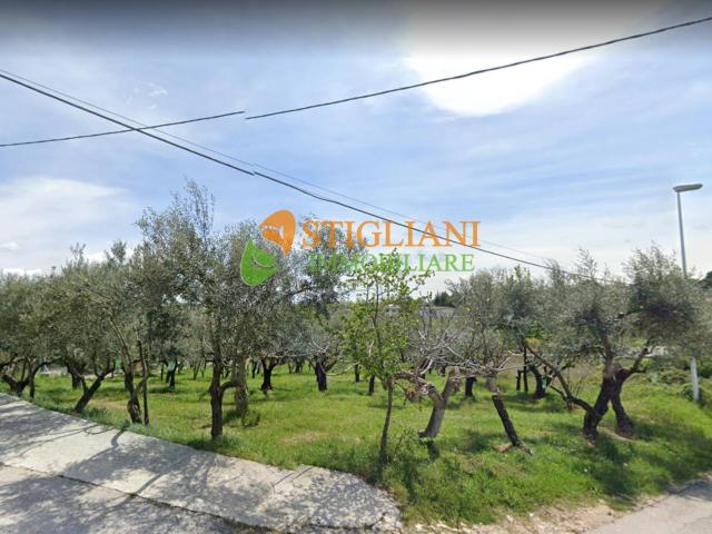 Terreno in vendita a Ripalimosani, Molise