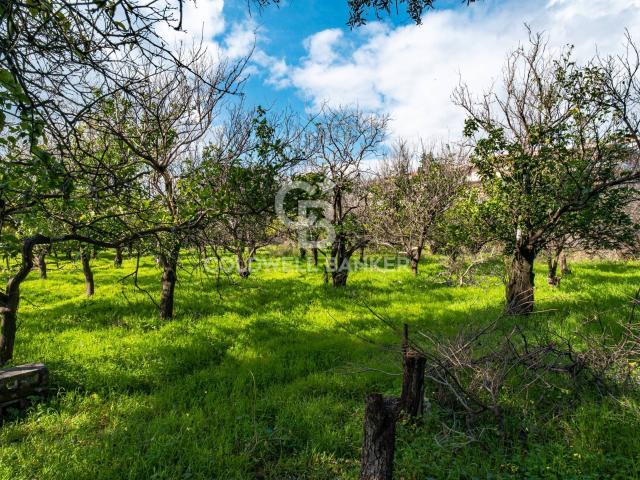 Terreno in vendita a Acireale, Sicilia