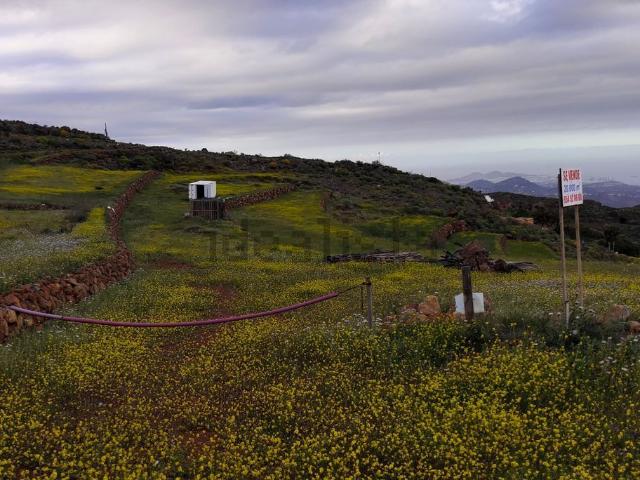 Terreno en venta en Pasadilla, Ingenio