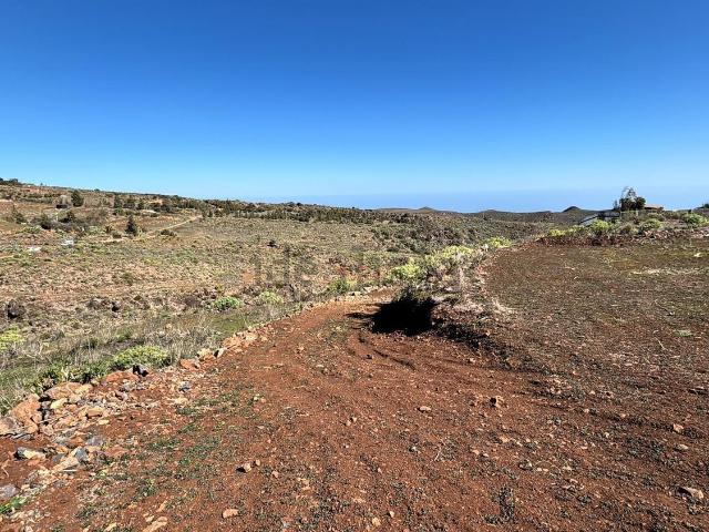 Terreno en alquiler en El Carrión, Ingenio