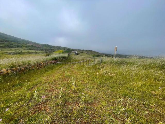 Terreno en venta en Pasadilla, Ingenio