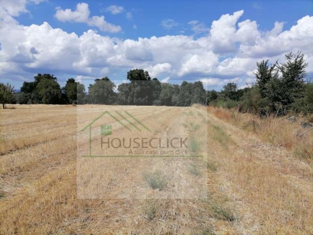 Terreno venda em Castelo Branco, Inguias