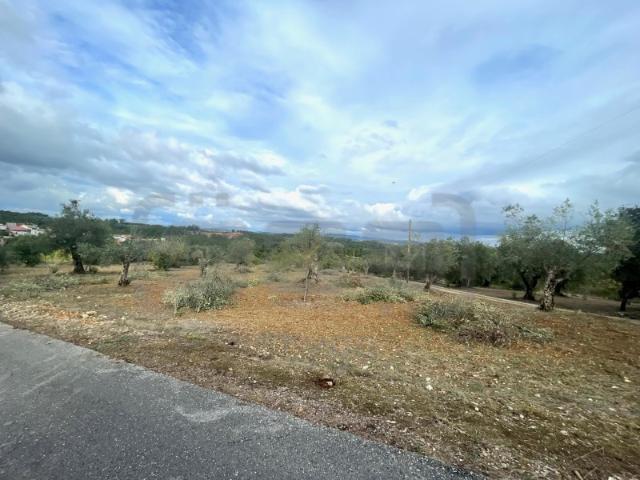 Terreno venda em Tomar, Santarém