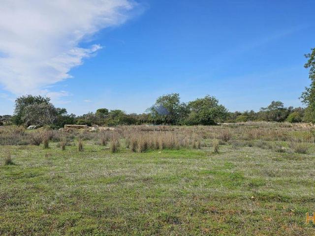 Terreno venda em Loulé, Faro
