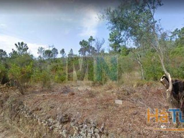 Terreno venda em Coimbrã, Coimbra
