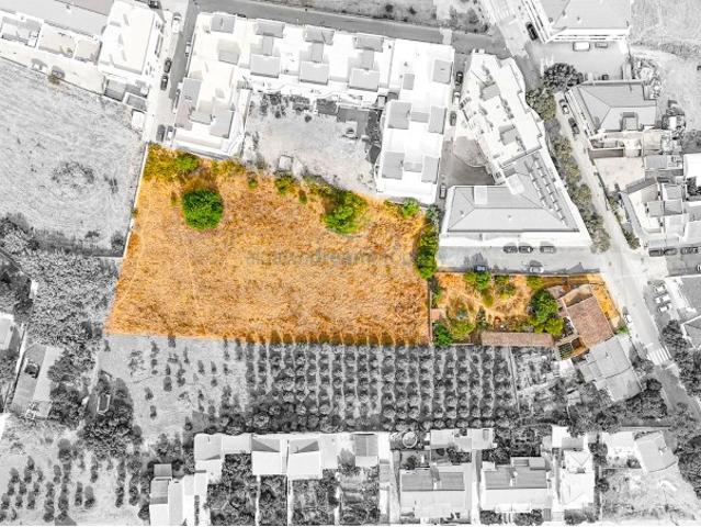 Terreno venda em Várzeas do Poço da Figueira, Tunes