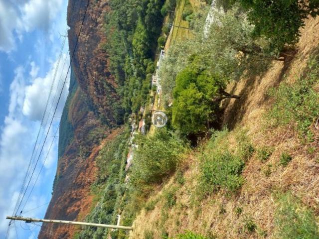 Terreno venda em Lousã, Coimbra