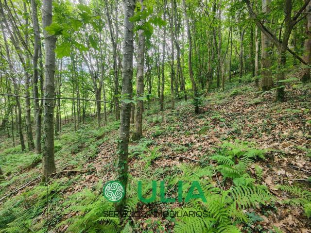 Terreno en venta en Gipuzkoako Bidasoa, Guipúzcoa