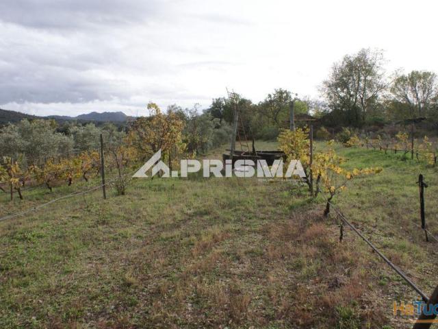 Terreno venda em Castelo Branco, Penamacor
