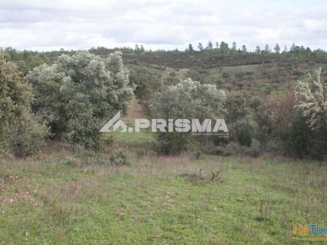 Terreno venda em Castelo Branco, Penamacor