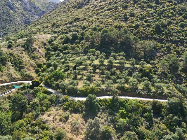 Terreno en venta en Istán, Málaga