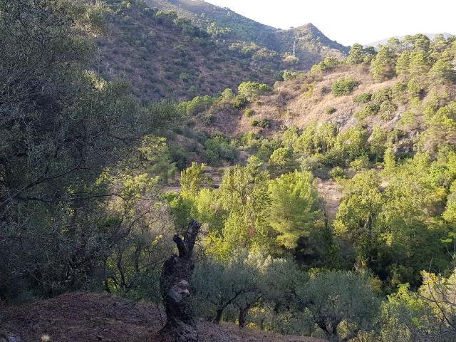 Terreno en venta en Istán, Málaga