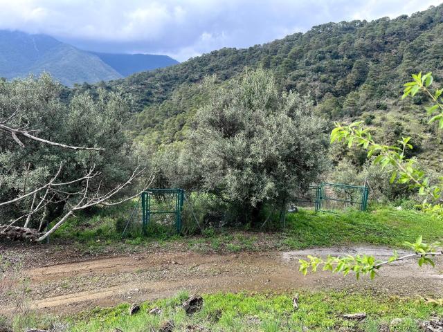 Terreno en venta en Istán, Málaga