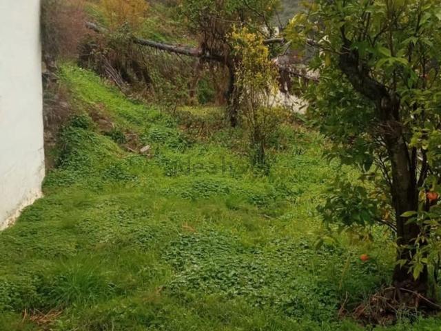 Terreno en venta en Istán, Málaga