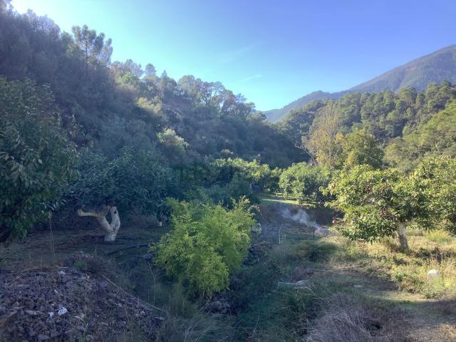 Terreno en venta en Istán, Málaga