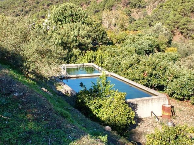 Terreno en venta en Istán, Málaga