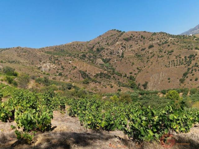 Terreno en venta en Ítrabo, Granada