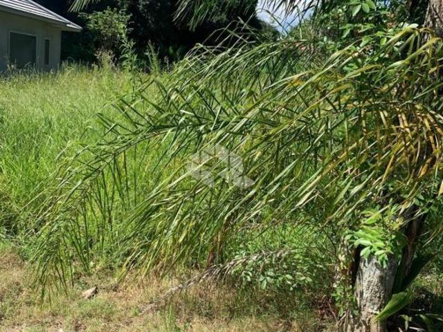 Terreno venda em Região Geográfica Imediata de Novo Hamburgo - São Leopoldo, Região Metropolitana de Porto Alegre