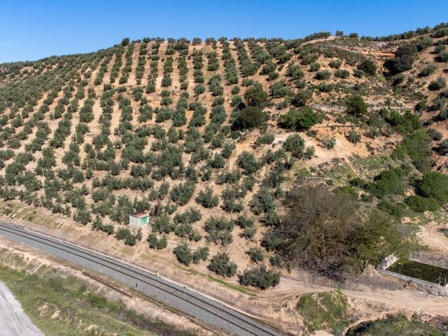 Terreno en venta en Comarca de Los Montes, Andalucía