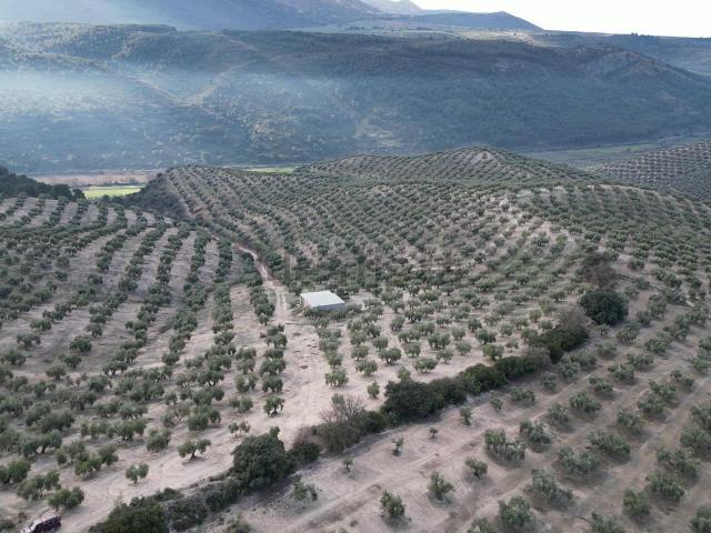 Terreno en venta en Comarca de Los Montes, Andalucía