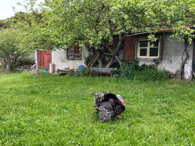 Terreno en venta en La Jacetania, Aragón