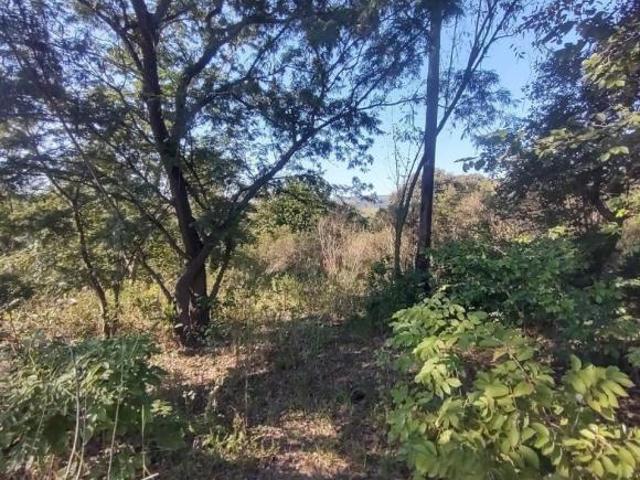 Terreno venda em Região Geográfica Imediata de Santo Antônio da Platina, Jacarezinho