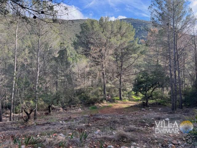 Terreno en venta en la Marina Alta, Valencia