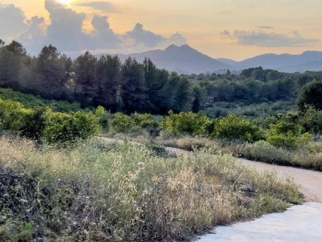 Terreno en venta en la Marina Alta, Valencia