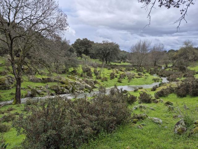 Terreno en venta en Jaraíz De La Vera, Extremadura