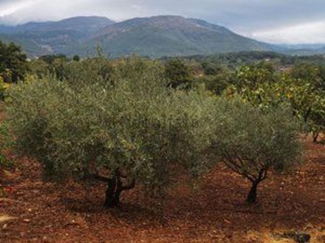 Terreno en venta en Jarandilla De La Vera, Extremadura