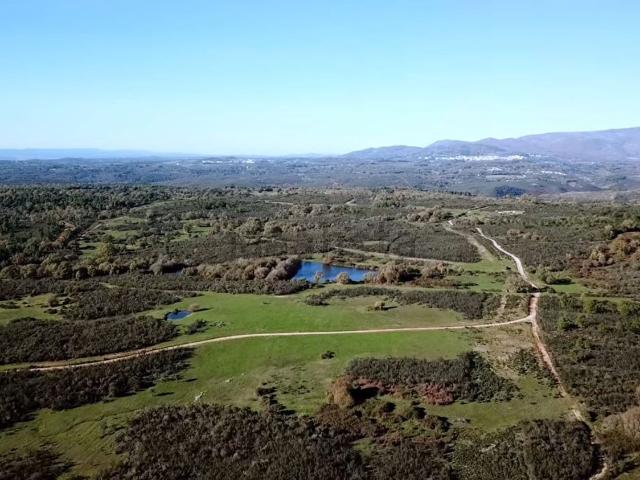 Terreno en venta en Jarandilla De La Vera, Extremadura