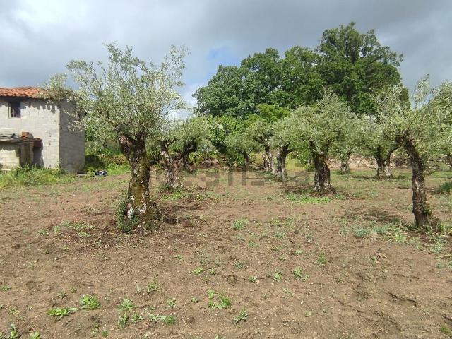 Terreno en venta en Jarandilla De La Vera, Extremadura