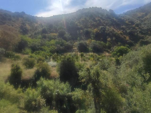 Terreno en venta en Este, Málaga-Costa del Sol