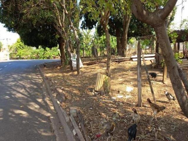 Terreno venda em Região Imediata de Catanduva, Jataúba