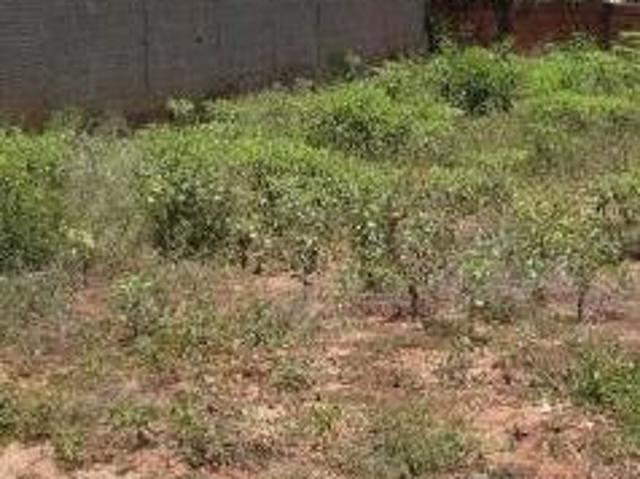 Terreno venda em Região Imediata de Catanduva, Jataúba