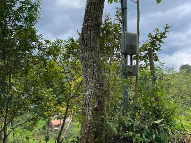 Terreno venda em Região Geográfica Imediata de Juiz de Fora, Bocaina de Minas