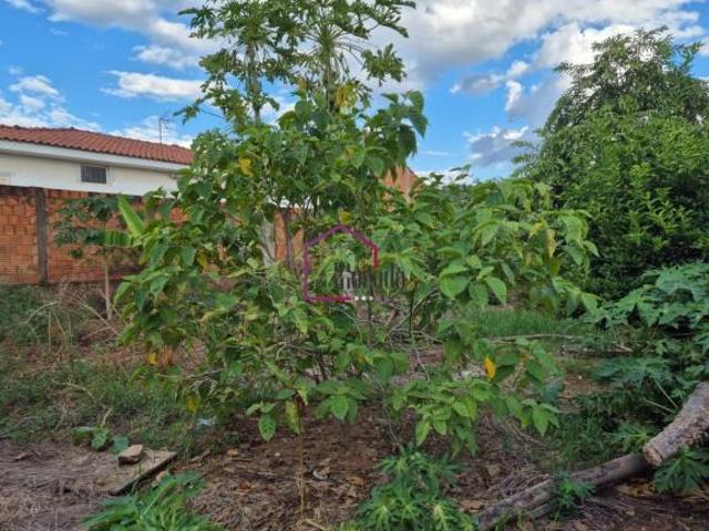 Terreno venda em Região Imediata de Catanduva, Jataúba