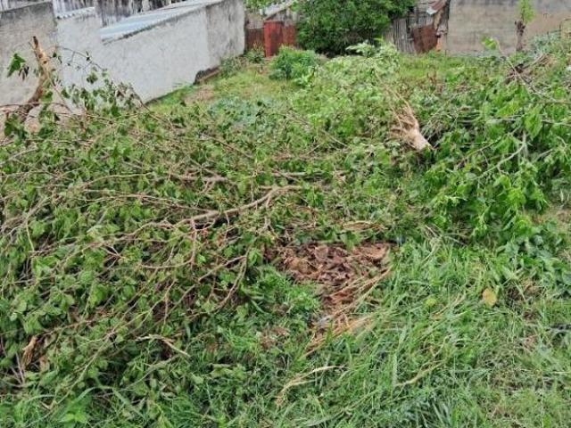 Terreno venda em Região Imediata de Guaratinguetá, Região Metropolitana do Vale do Paraíba e Litoral Norte