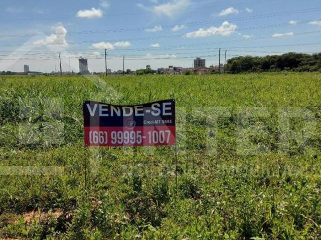Terreno venda em Região Geográfica Imediata de Sinop, Sinop