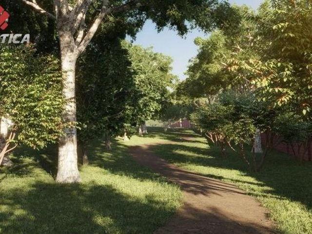 Terreno venda em Região Geográfica Imediata de Goiânia, Goiânia